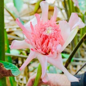 Meet your Posher, Britt